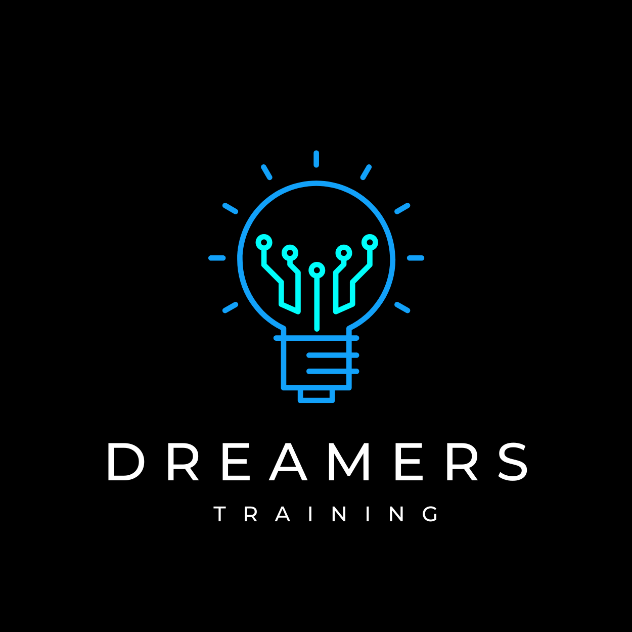 <p><a href="https://www.dreamerstraining.com/">Dreamers Training</a></p>